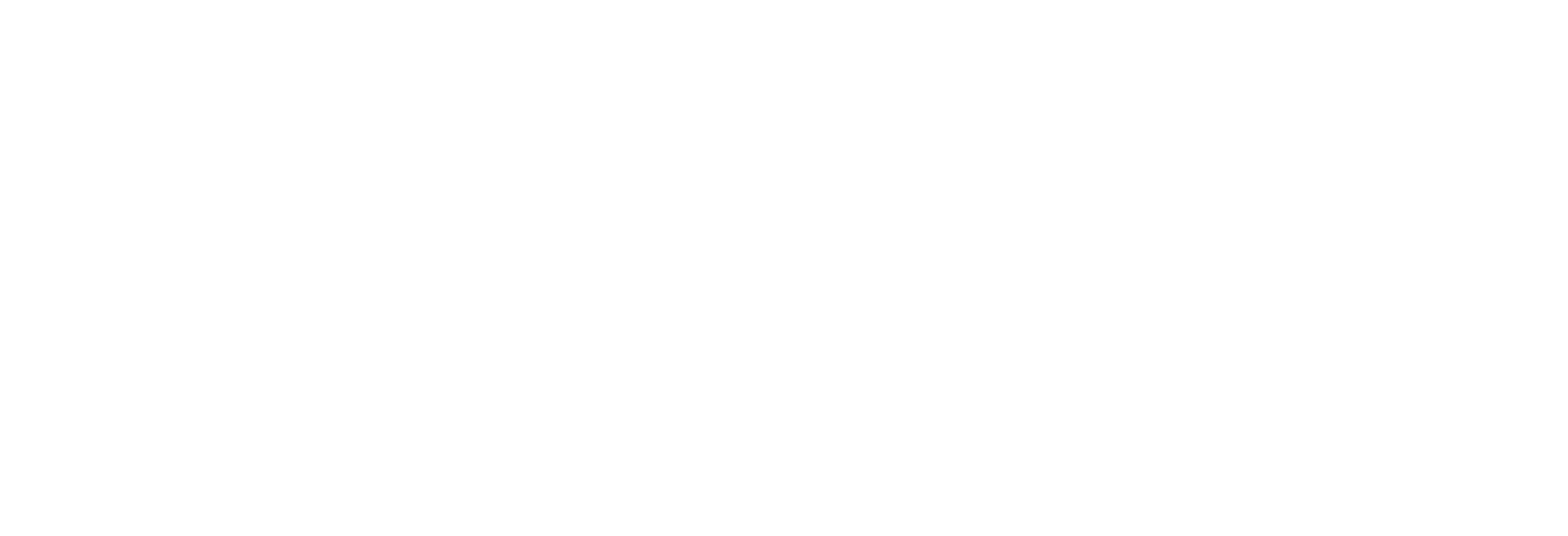 Kawiil MX